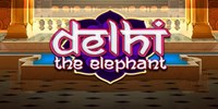 Delhi The Elephant