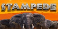 Stampede