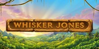 Whisker Jones