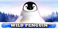 Wild Penguin