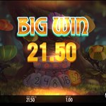 Big Win